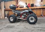 Gasgas HP WILD 450 53 PS Tüv Lof - GASGAS GEBRAUCHT