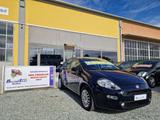 Fiat FIAT Grande Punto 1.2 5 Porte 1 proprietario E6 - gebrauchte Fiat Punto aus dem Jahr 2016