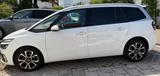 Citroën C4 SpaceTourer BlueHDi 130 S&S SHINE EAT8 SHINE - weiße Citroën C4 SpaceTourer