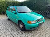 Volkswagen VW Polo 6N mit original KAT - Volkswagen Polo Original mit Benzin-Antrieb