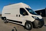 Ford Suche Kastenwagen zum Kaufen! - : Kaufen