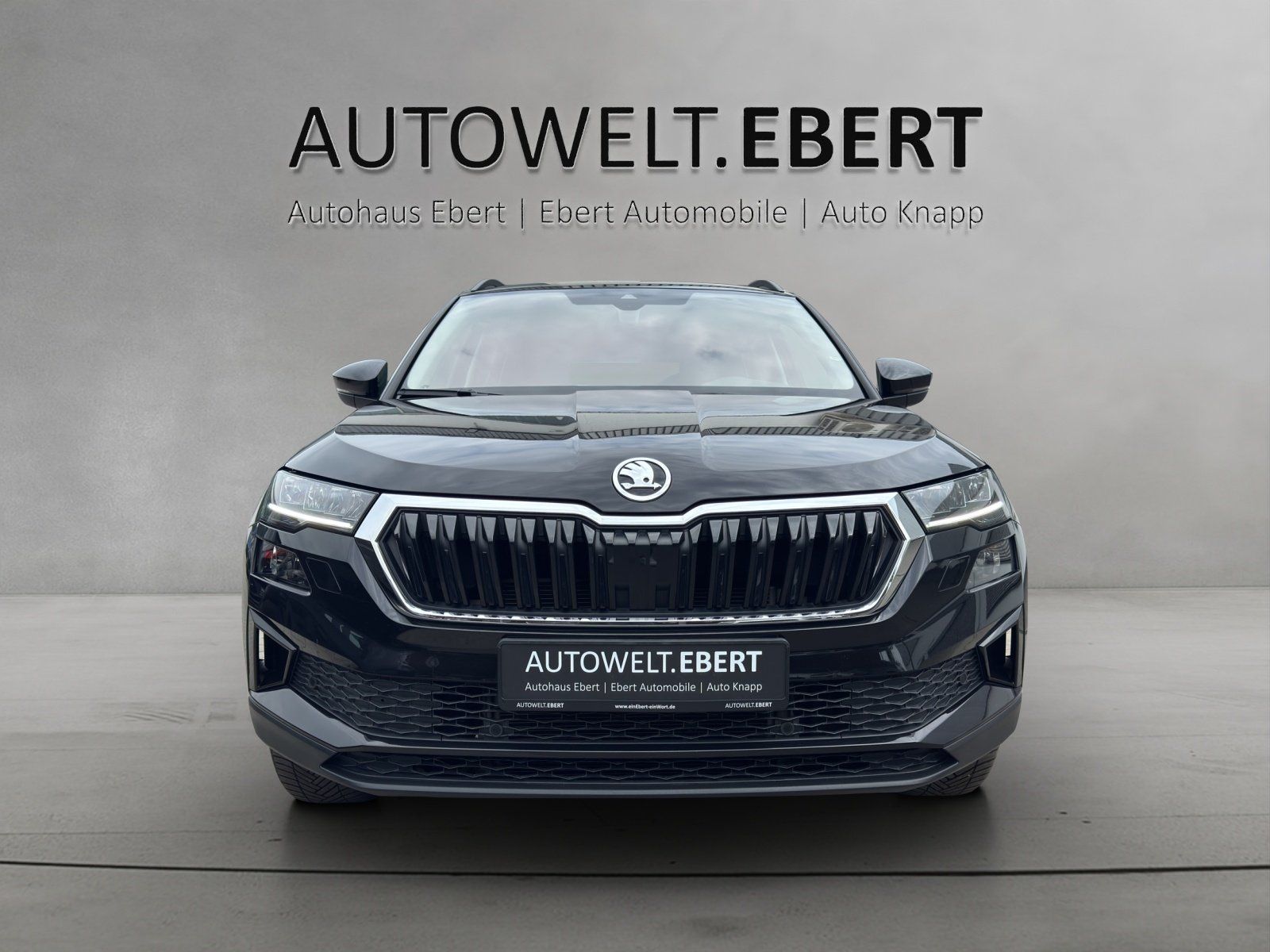 Fahrzeugabbildung SKODA Karoq Tour 2,0 TDI 4x4 DSG/LED/ACC/CAM/NAVI/AHK/