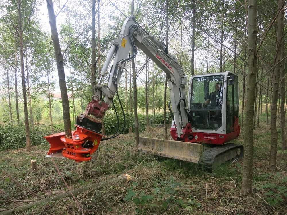 Fahrzeugabbildung Andere Westtech Woodcracker CL190 Fällkopf Fällgreifer