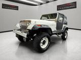 Jeep Wrangler  YJ 2.5 - Jeep Wrangler: Yj