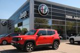 Jeep Renegade Trailhawk Plug-In-Hybrid 4xe PANO-DACH - Jeep Renegade: Trailhawk