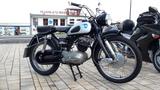 NSU Max (ähnlich Scrambler) - NSU MAX