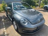 Volkswagen VW Beetle Cabrio - Volkswagen Beetle in Bonn