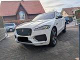 Jaguar F-Pace 30d AWD 300 SPORT Automatik 300 SPORT - Jaguar F-Pace 30d Gebrauchtwagen