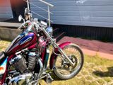 Suzuki VS 800 Intruder - Offers matching your search criteria