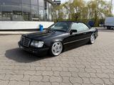 Mercedes-Benz E 320 E 320 - Mercedes-Benz E 320 mit Benzin-Antrieb: Cabrio
