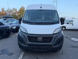 Fiat Ducato Grossr.-Kasten 35 140 L4H2 RS: 4035 mm - Fiat Ducato in Mainz