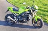 Triumph Speed Triple 1050 Zard Sportauspuff - Offers