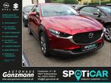 Mazda CX-30 Selection AWD 2.0 SKYACTIV-G M Hybrid Allr - Mazda Gebrauchtwagen in Freiburg