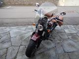 Indian Scout Classic  * 7500 km * Griffheizung * Miller - INDIAN SCOUT CLASSIC