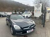 Mercedes-Benz SLK 250 CDI BlueEfficiency*PANO*8-FACH*LEDER*SHZ - Mercedes-Benz SLK 250 Gebrauchtwagen