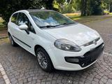 Fiat Punto EVO 1,2 TÜV NEU - Fiat Punto Evo aus 2012