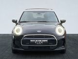 MINI Cooper LED Pano PA PDC Sportsitz SH - MINI MINI in Braunschweig