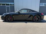 Porsche Cayman S+Sport Chrono+Leder+Memory+BOSE+PASM++ - Porsche Cayman: Sport Chrono