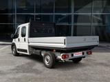 Toyota Proace Max 2.2-l-D 35 L3H1 Heavy Work - Tier-/Pferdetransport