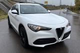Alfa Romeo Stelvio Business 2WD - Alfa Romeo aus 2020