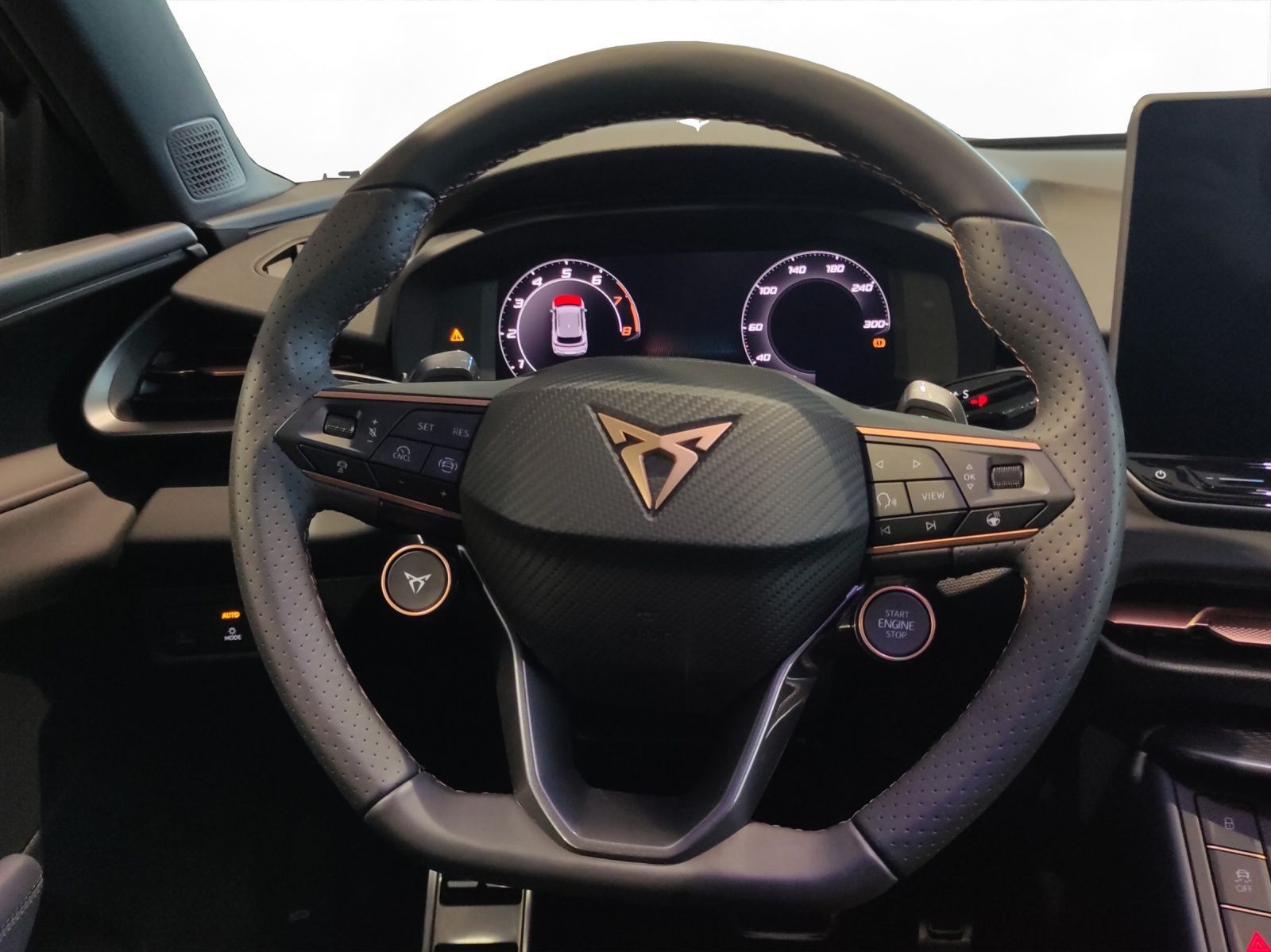 Cupra Terramar - Bild 11