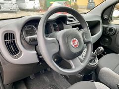 Fahrzeugabbildung Fiat Panda 1.0 Hybrid City Plus KLIMA RADIO ISOFIX