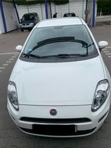 Fiat Punto 1.2 8V- 2. Hand ,Tüv, Zahnriemen Neu! - Fiat Punto aus 2016