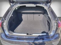 Audi A5 - Vorschau Bild 14