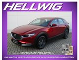 Mazda CX-30 2.5l (140PS) Prime-line Navi Kamera Voll-L - Mazda Neuwagen: Geländewagen