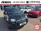 Fiat Panda CROSSCITYPLUS HYBRID1.0GSE TECH CARPLAY - Fiat Panda Gebrauchtwagen in Münster