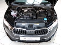 Skoda Octavia - Vorschau Bild 48