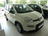 Fiat Panda HYBRID 1,0  51 kW ( 70 PS ) PDC Klima 5 Si - Fiat Panda in Lübeck