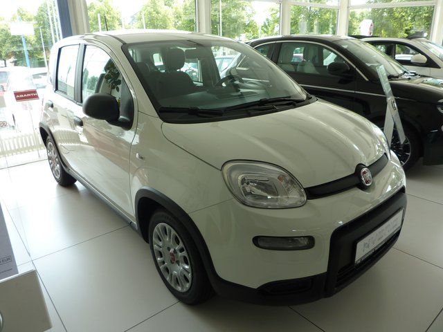 Fiat Panda MY2024 HYBRID 1,0  51 kW ( 70 PS ) PDC Kli