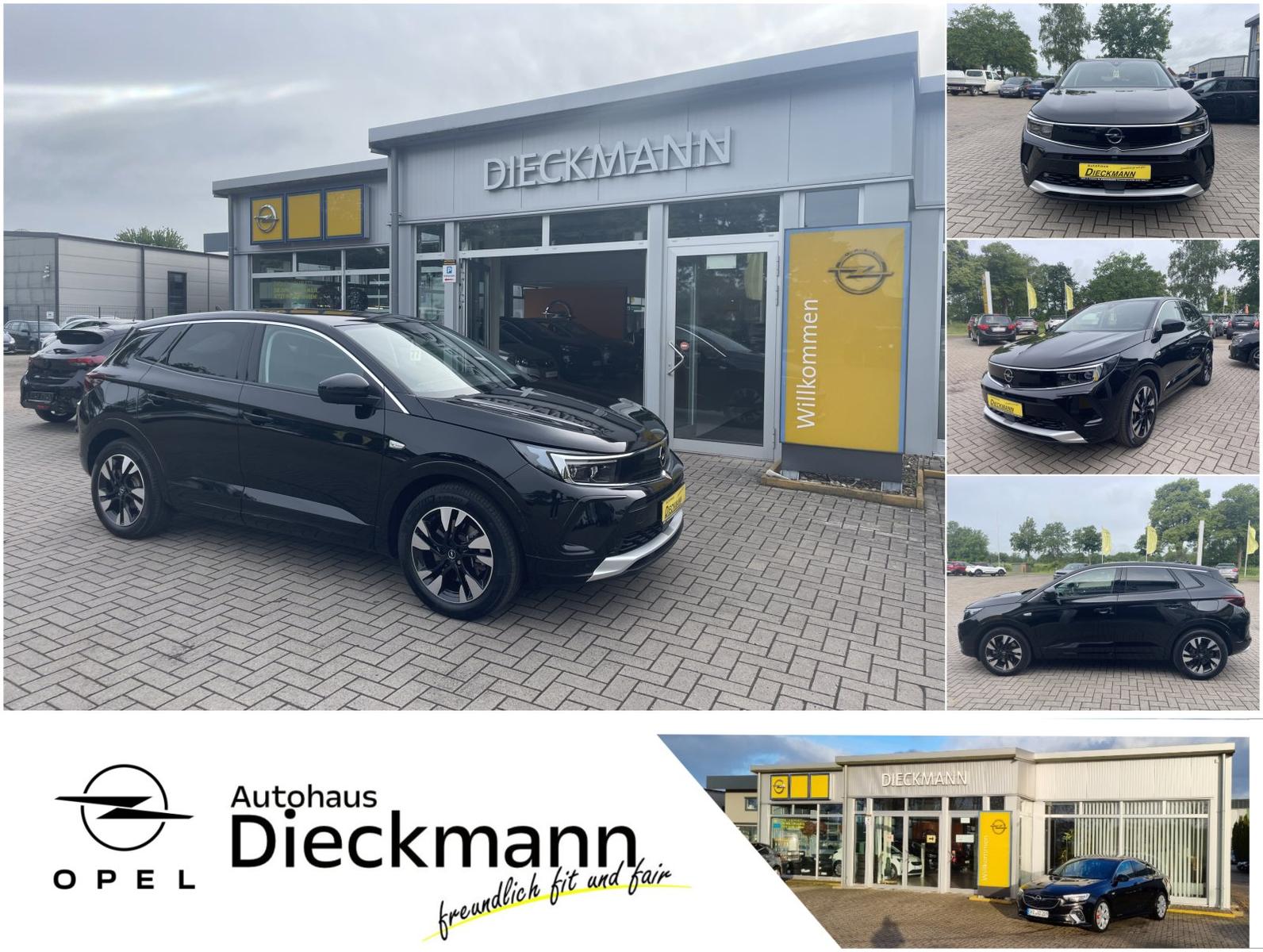 Opel Grandland 1.6 Plug-in-Hybrid Ultimate Navi SHZ L