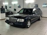 Mercedes-Benz E 320 W124 LEDER KLIMA AHK Sportline - Mercedes-Benz: Kombi, S124
