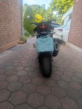 Honda CB750 Hornet,  A2 48 PS, von 2025 - HONDA PS