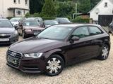 Audi A3 attraction aus 1.Hand, Klima, Standheizung... - Audi A3: Standheizung