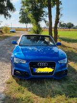Audi A5 3.0 TDI 180kW S tr. quat. Cabriolet - - Audi A5 mit Diesel-Antrieb: Cabrio, 3.0