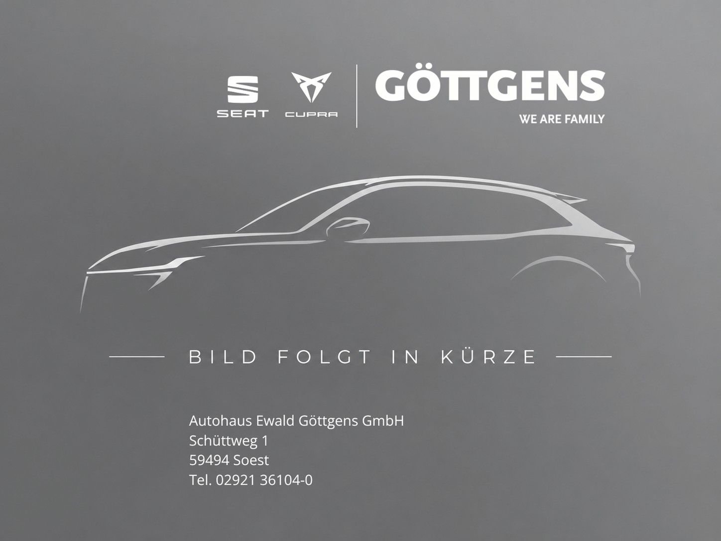 Cupra Born 62kWh 204PS NAVI 19LM GJR ACC