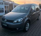 Volkswagen Caddy Maxi 7.Sitzer Roncalli - Volkswagen Caddy Maxi: Roncalli