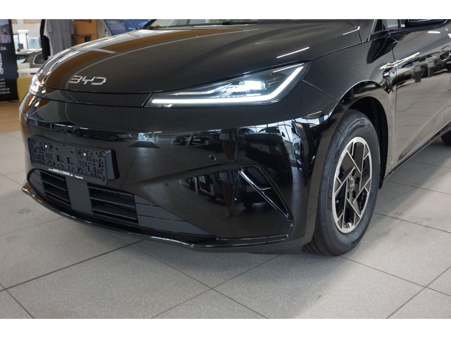 BYD DOLPHIN
