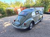 Volkswagen Käfer 1200 orig. Faltdach Liebhaberzustand !! - Volkswagen Käfer: Faltdach