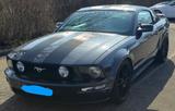 Ford Mustang - Ford Mustang aus 2007: Coupe
