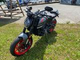 Ducati Monster Neufahrzeug Modell 2024 - DUCATI MONSTER