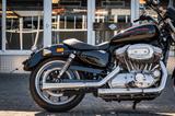 Harley-Davidson XL883L SUPERLOW SPORTSTER - A2 TAUGLICH - FALCON - HARLEY-DAVIDSON VON 751 BIS 1000 CCM