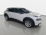 Citroën C4 CACTUS 1.2 PURETECH SHINE GRA WINTER - gebrauchte Citroën C4 Cactus aus dem Jahr 2019