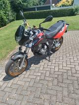 Aprilia Pegaso Strada Factory - APRILIA ST