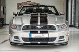 Ford Mustang 3,7 CABRIO PREMIUM ROUSH LEDER KLIMA - Ford Mustang: 3.3