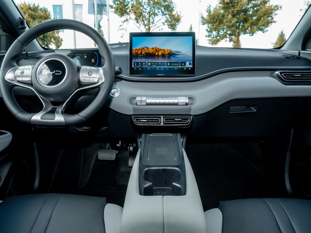 BYD DOLPHIN