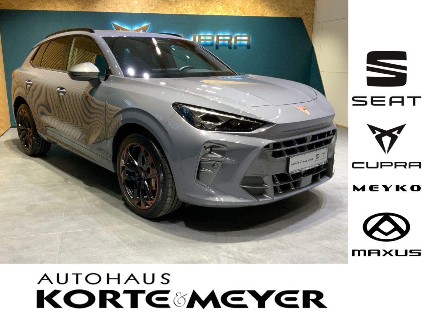 CUPRA Terramar VZ 2.0TSI DSG 4Drive+360° +ACC+LED